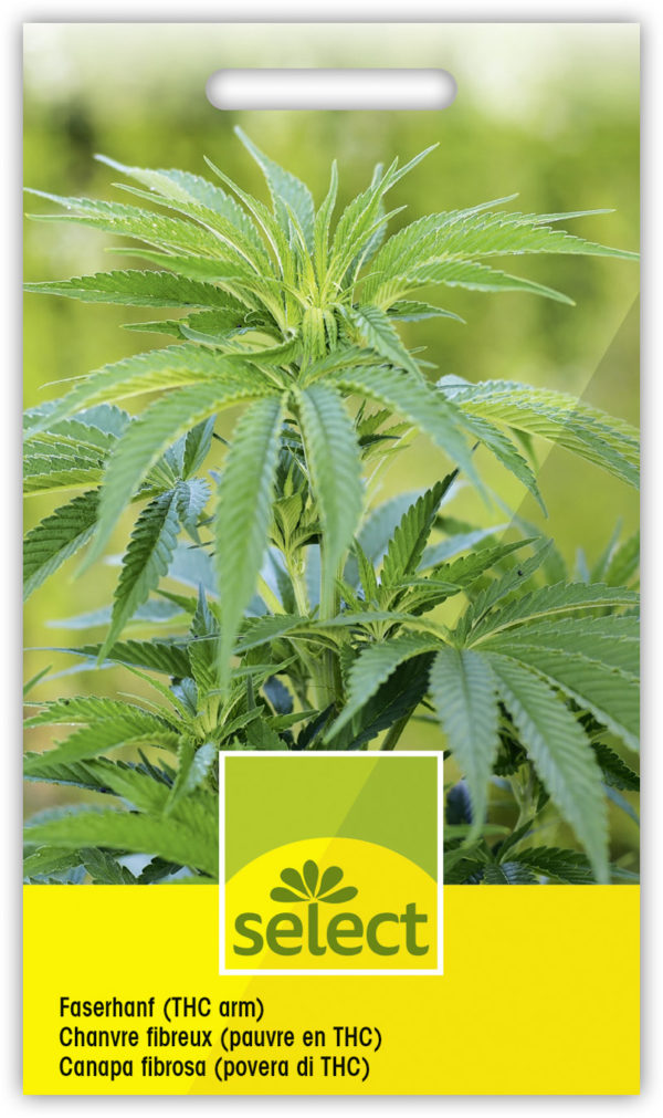 Chanvre fibreux (pauvre en THC)